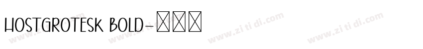HostGrotesk Bold字体转换